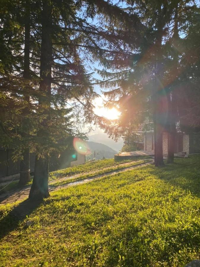Alpin Apartments Vlasic Dış mekan fotoğraf