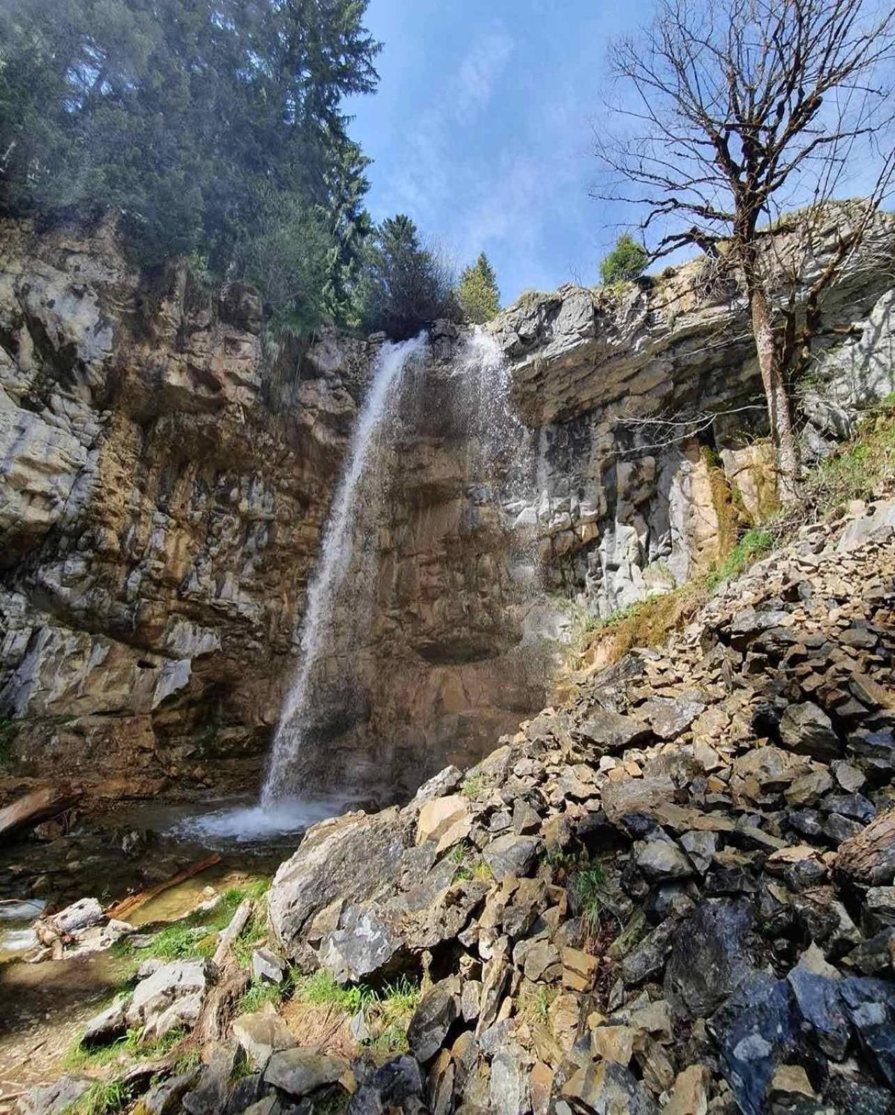 Alpin Apartments Vlasic Dış mekan fotoğraf