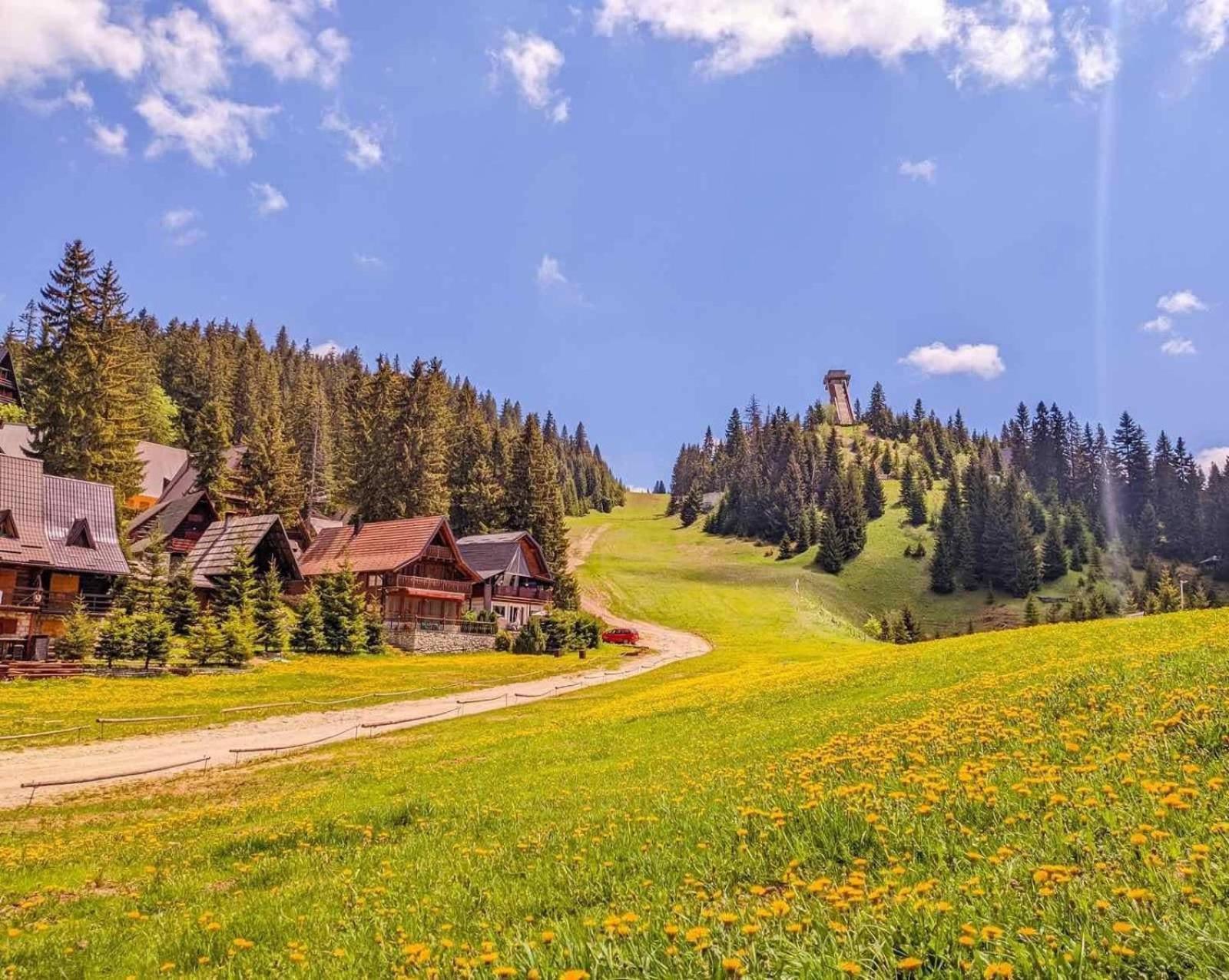 Alpin Apartments Vlasic Dış mekan fotoğraf
